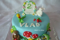 Tort Vladut