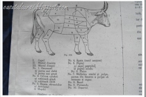 Clasificarea si cunoasterea carnii de vaca – din invataturile doamnei Comsa (partea I)