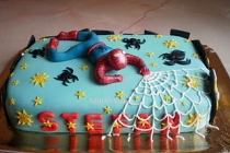 TORT CU SPIDERMAN (3)