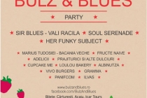 Bulz &amp; Blues, Iasi 2013