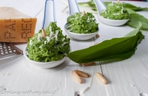 Pesto de leurda (Wild garlic pesto)