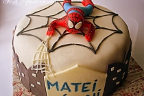 Tort Spiderman