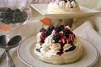 Pavlova cu mure