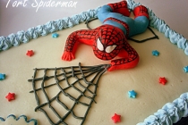 Tort Spiderman III