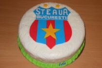 Tort Steaua