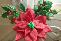 Poinsettia 2