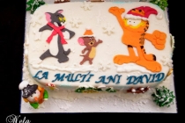 Tort Tom ,Jerry si Garfield