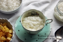 Budinca de tapioca cu lapte de soia si mango