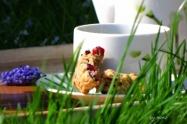 Cranberry cookies