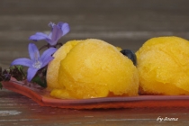 Sorbet de mango