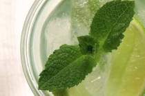 MOJITO