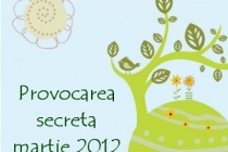 Provocarea secreta - martie 2012