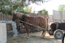 Gata, asta e ultimul