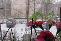 Ninge