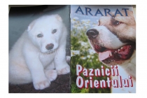 Paznicii orientului, supliment al revistei ARARAT