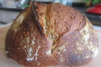 Prima pâine cu apă fermentată - Primer pan con agua fermentada