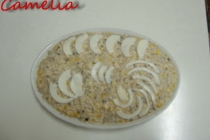 Salata de ton