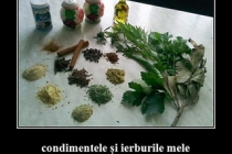 condimentele mele