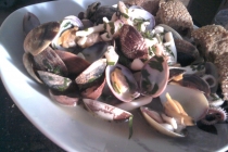 scoici Vongole