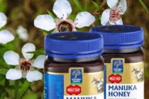 Mierea de MANUKA - cel mai puternic antibiotic natural