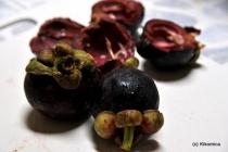 Mangostine - Regina fructelor