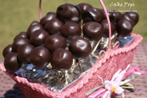 Cake Pops