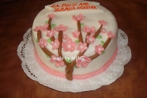 TORT FLOARE DE CIRES( CHERRY BLOSSOM  CAKE)