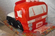 TORT CAMION(2)