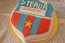 TORT STEAUA