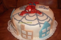 TORT SPIDERMAN