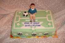 TORT TEREN DE FOTBAL PENTRU BOTEZ