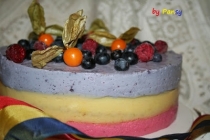 Tort tricolor