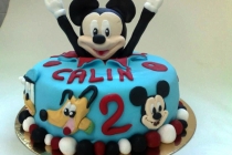 Torturi Minnie si Mickey Mouse