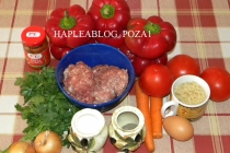 GOGOSARI UMPLUTI CU CARNE TOCATA