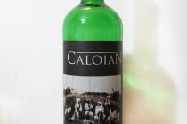 cabernet sauvignon caloian 2008