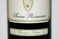 sauvignon blanc 2010 terra romana