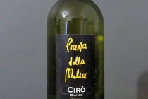 greco bianco, piana della melia  2009